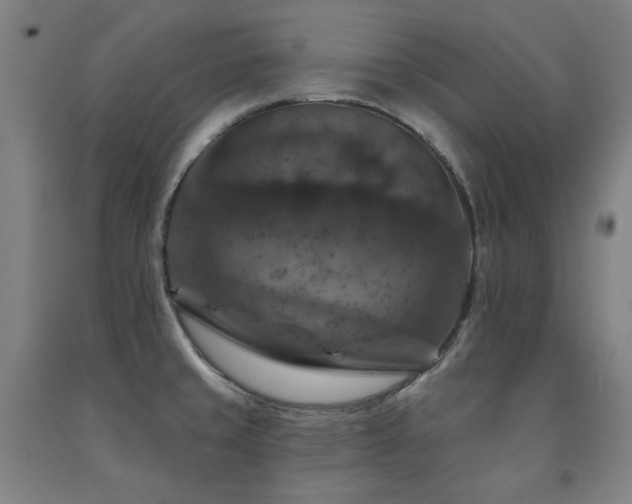 X0000091461429200708161513