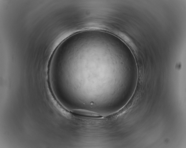 X0000091461431200708161513