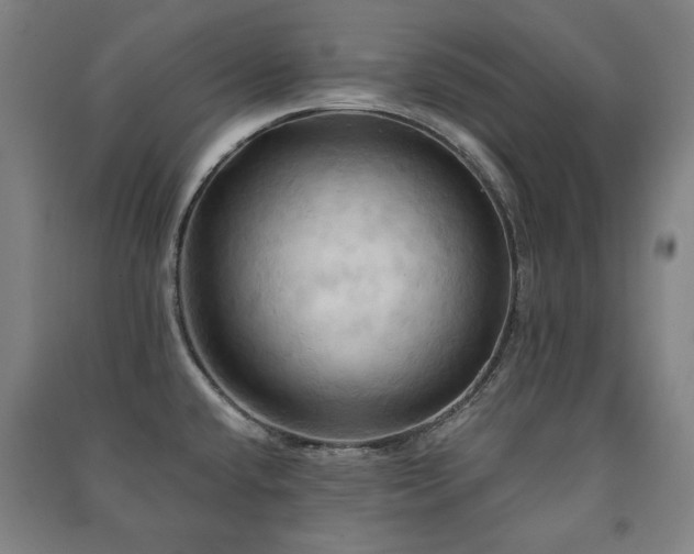 X0000091461432200708161513