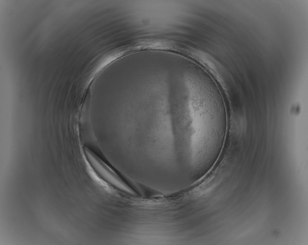 X0000091461433200708161513