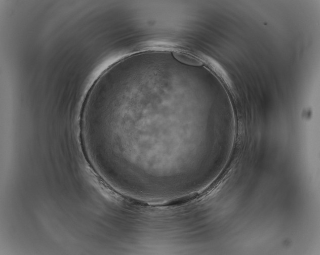 X0000091461435200708161513