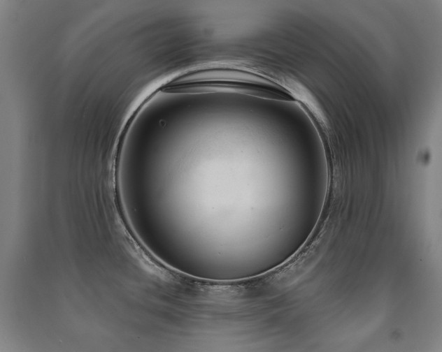 X0000091461436200708161513