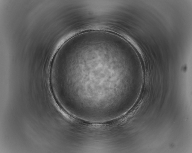 X0000091461437200708161513