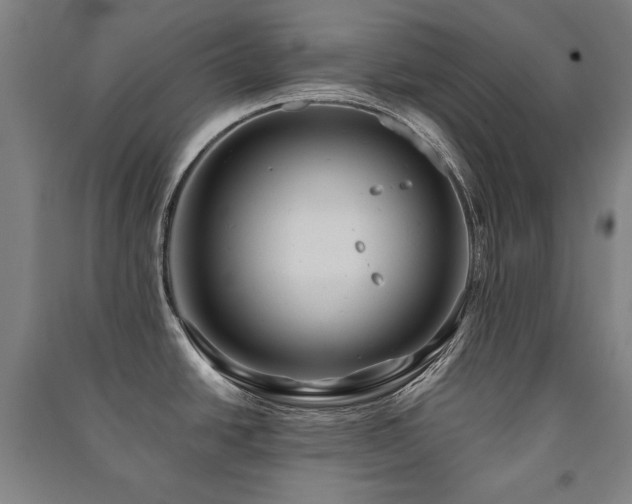 X0000091461438200708161513