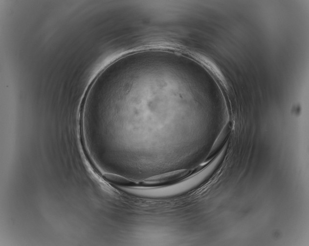X0000091461439200708161513