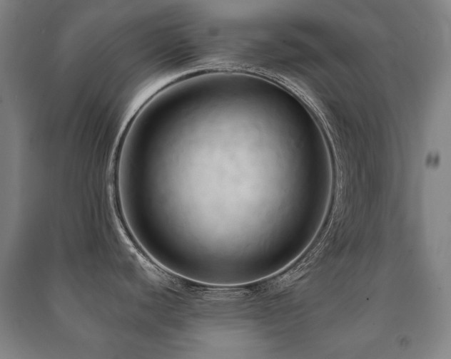 X0000091461440200708161513