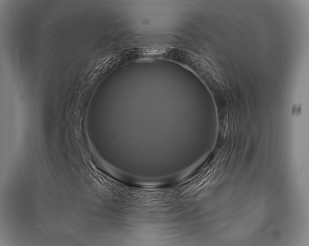 X0000091461441200708161513