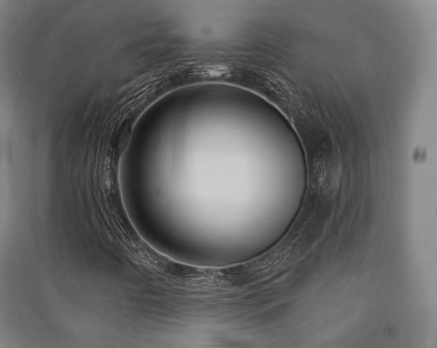 X0000091461442200708161513
