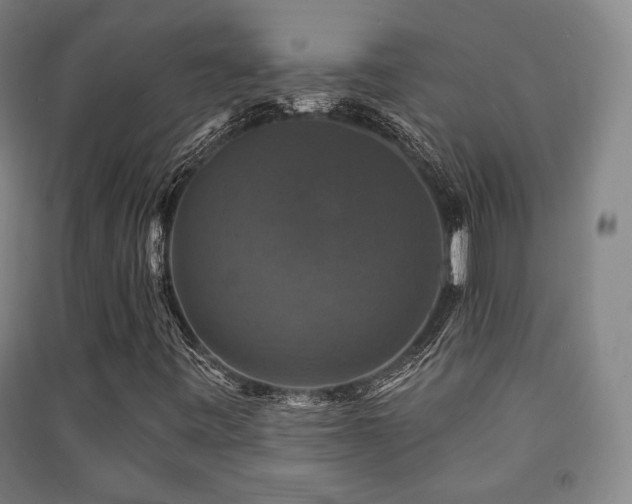 X0000091461443200708161513