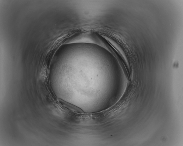 X0000091461444200708161513