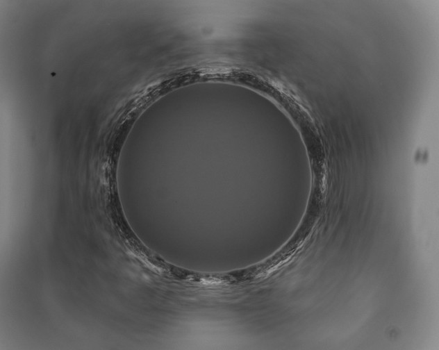 X0000091461445200708161513