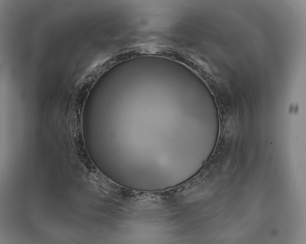 X0000091461446200708161513