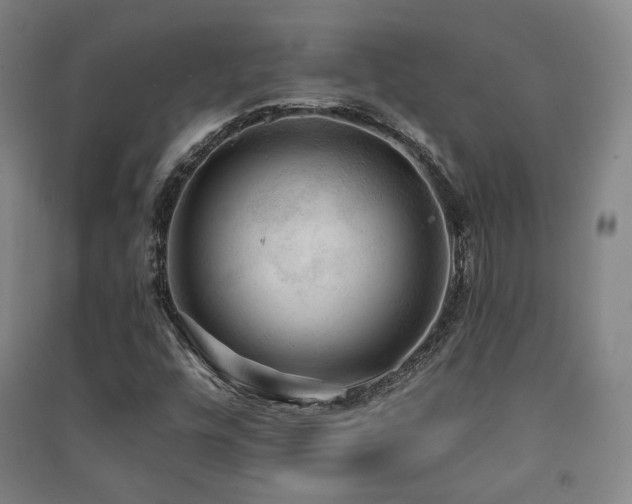 X0000091461448200708161513