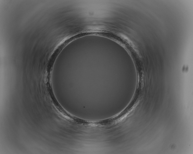 X0000091461449200708161513