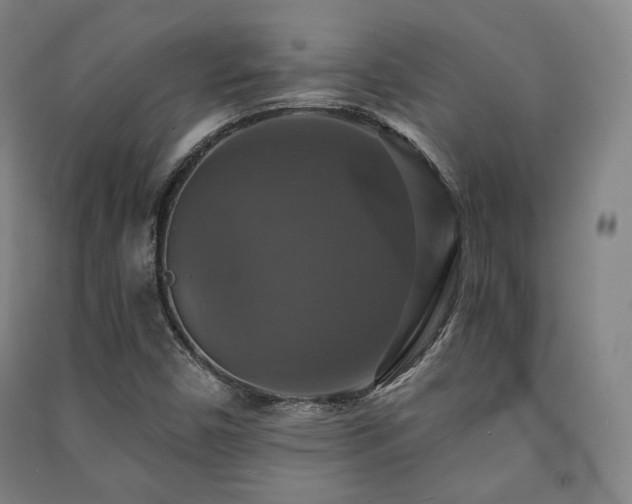 X0000091461450200708161513
