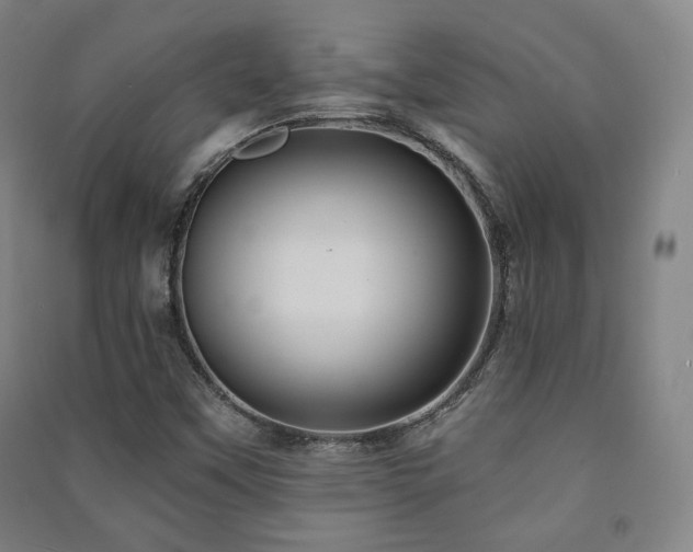 X0000091461451200708161513