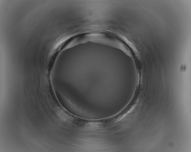 X0000091461453200708161513