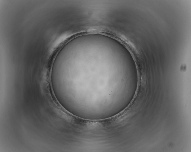 X0000091461454200708161513