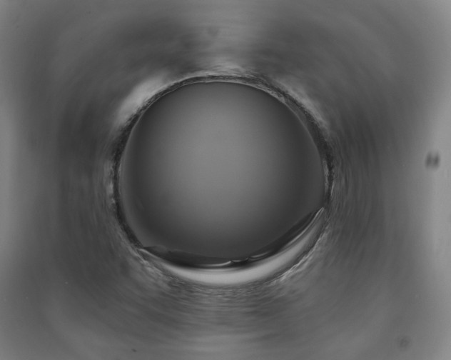 X0000091461455200708161513