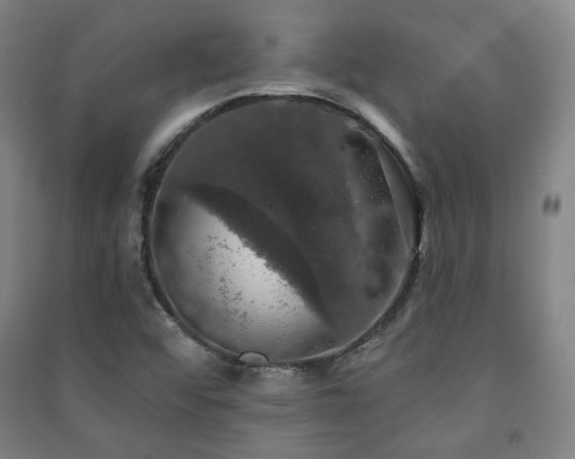 X0000091461456200708161513