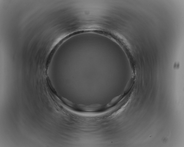 X0000091461457200708161513