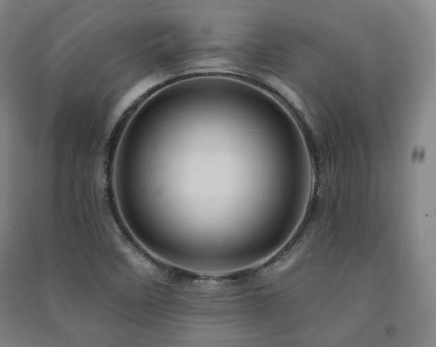 X0000091461458200708161513