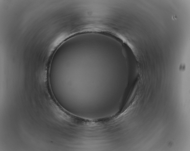 X0000091461459200708161513
