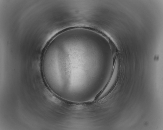 X0000091461460200708161513