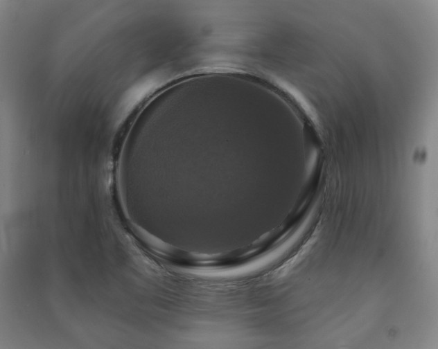 X0000091461461200708161513