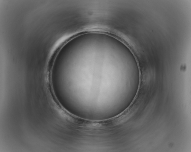 X0000091461462200708161513