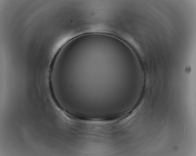 X0000091461463200708161513