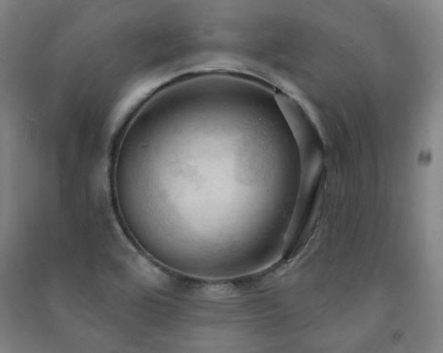 X0000091461464200708161513