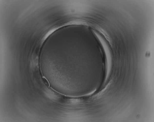 X0000091461465200708161513