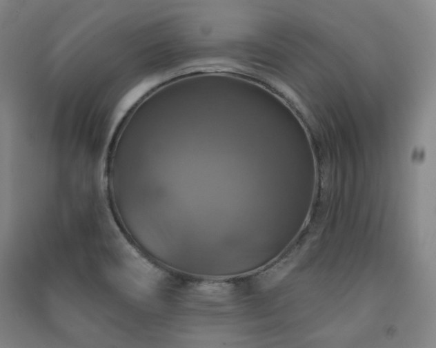 X0000091461466200708161513