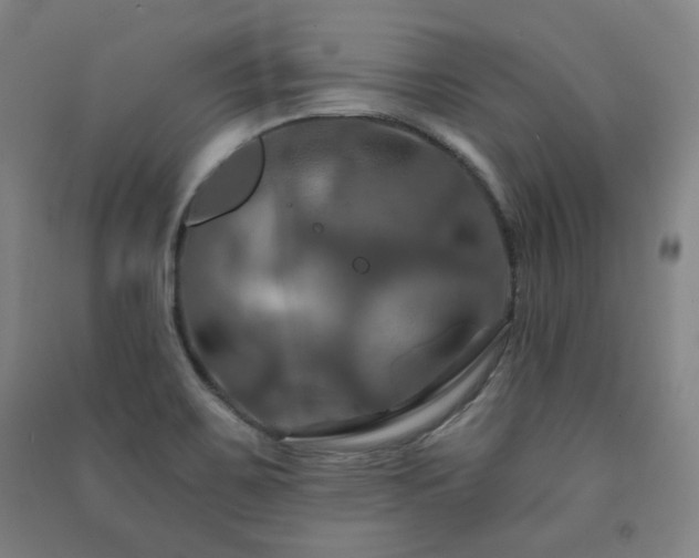 X0000091461467200708161513