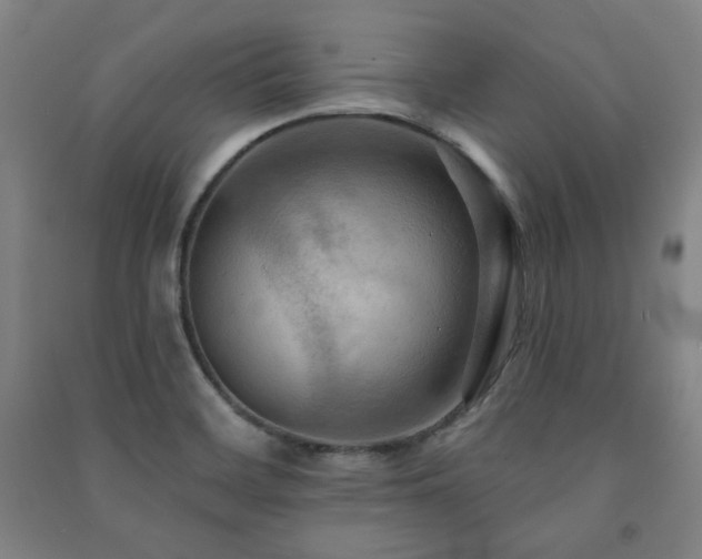 X0000091461468200708161512