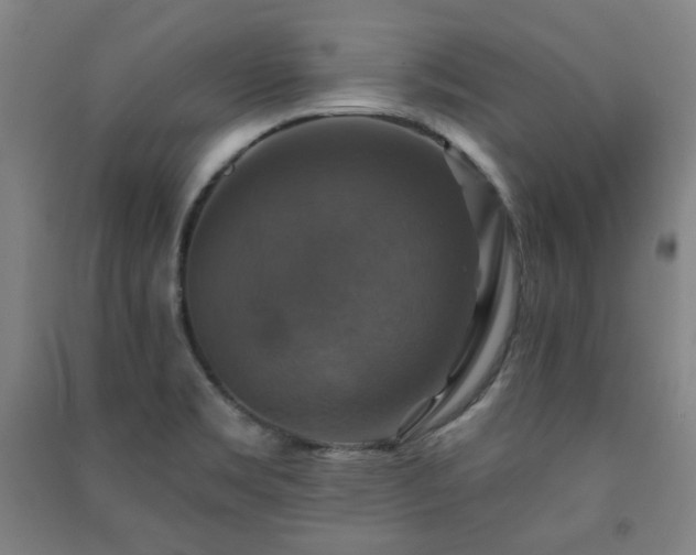 X0000091461469200708161512