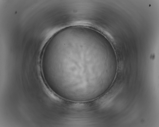 X0000091461470200708161512