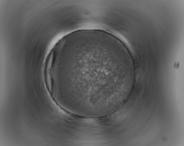 X0000091461472200708161512