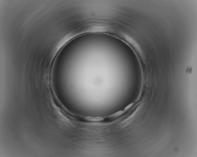 X0000091461473200708161512