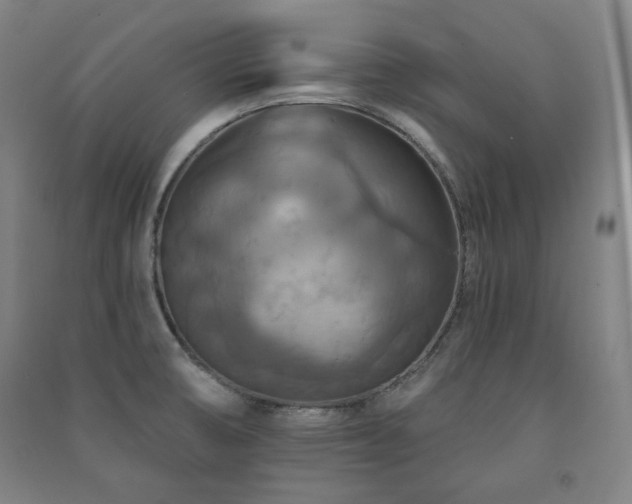 X0000091461474200708161512