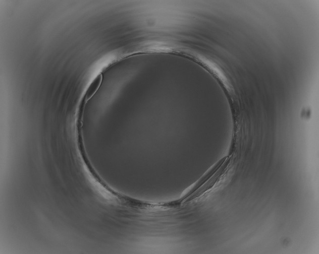 X0000091461475200708161512