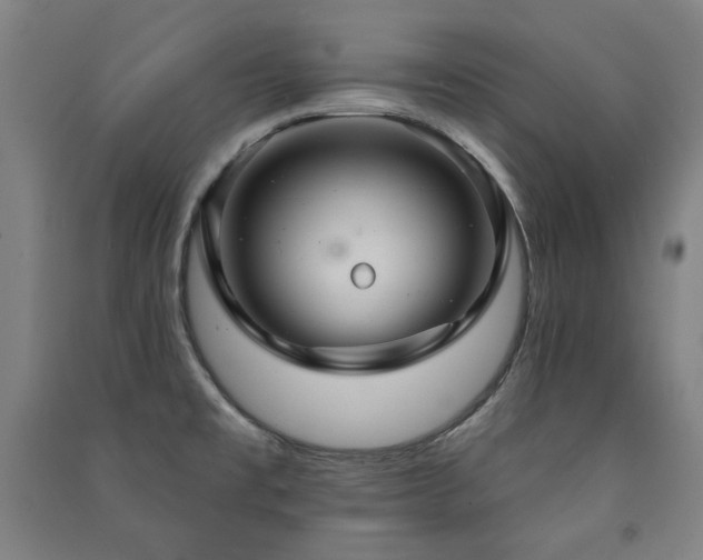 X0000091461477200708161512