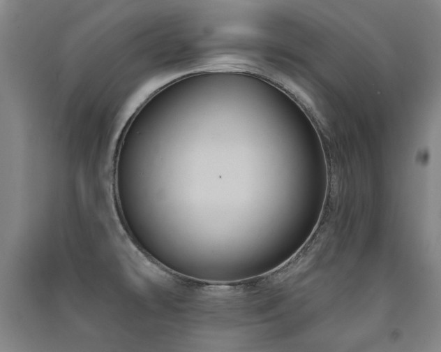 X0000091461478200708161512