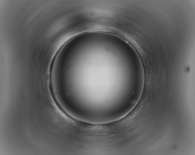 X0000091461479200708161512