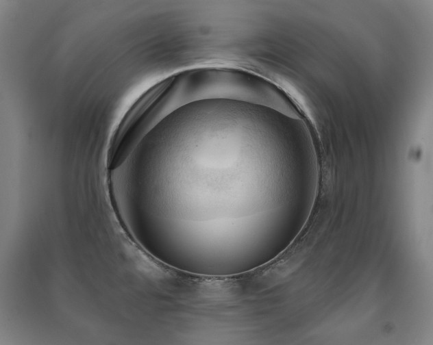 X0000091461480200708161512