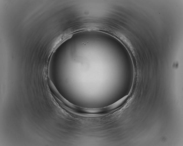 X0000091461481200708161512