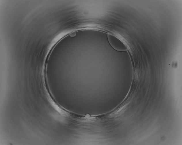X0000091461482200708161512