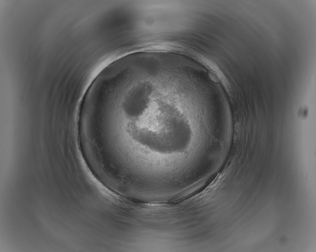 X0000091461483200708161512
