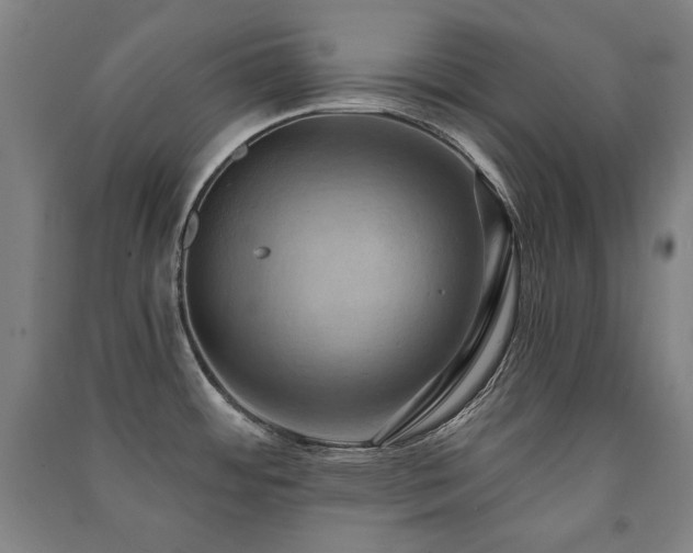 X0000091461484200708161512